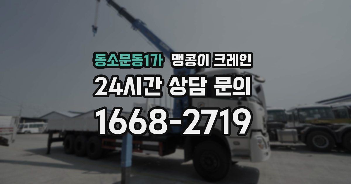 동소문동1가 맹콩이 크레인