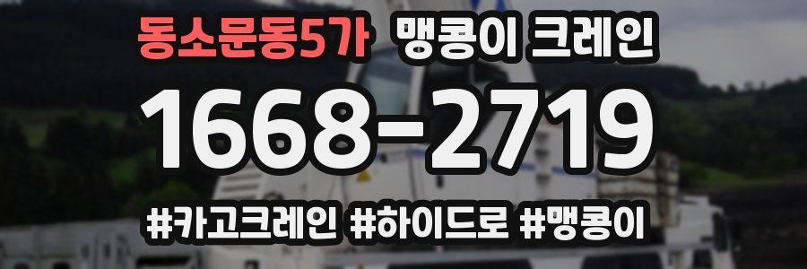 동소문동5가 맹콩이 크레인