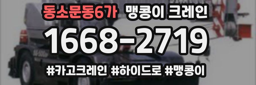 동소문동6가 맹콩이 크레인