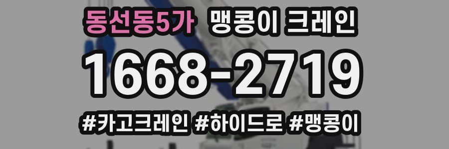 동선동5가 맹콩이 크레인