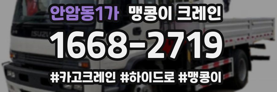 안암동1가 맹콩이 크레인