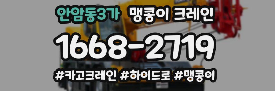 안암동3가 맹콩이 크레인