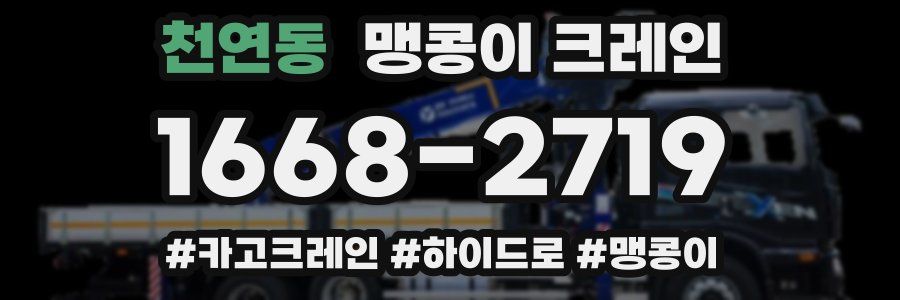 천연동 맹콩이 크레인