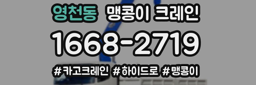 영천동 맹콩이 크레인
