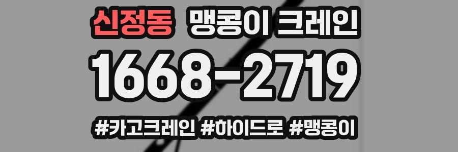 신정동 맹콩이 크레인