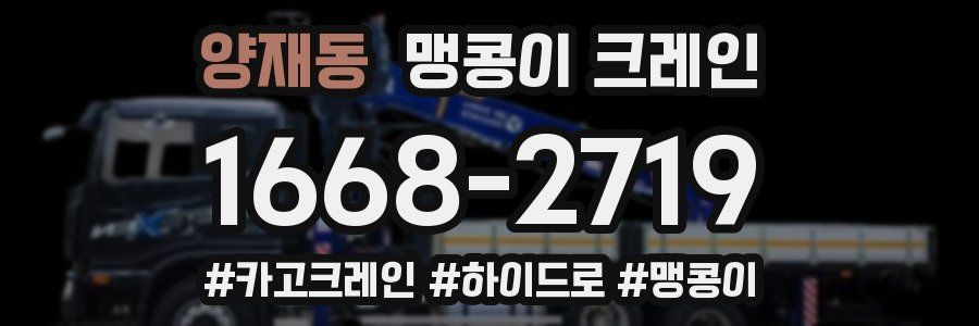 양재동 맹콩이 크레인