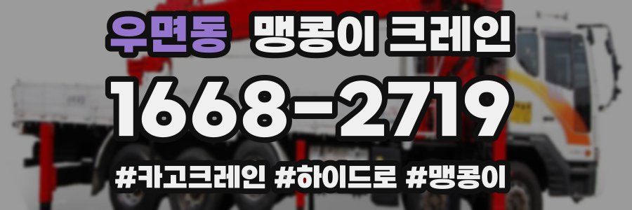 우면동 맹콩이 크레인