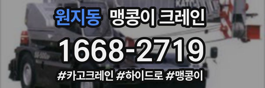 원지동 맹콩이 크레인