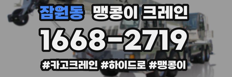 잠원동 맹콩이 크레인