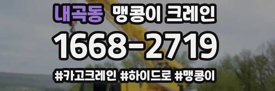 내곡동 맹콩이 크레인