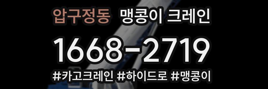 압구정동 맹콩이 크레인