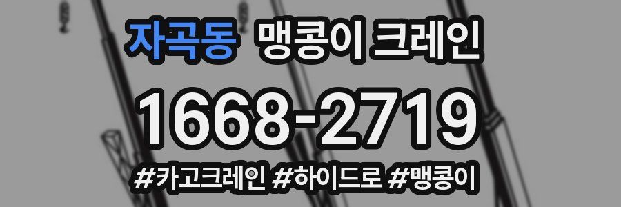 자곡동 맹콩이 크레인