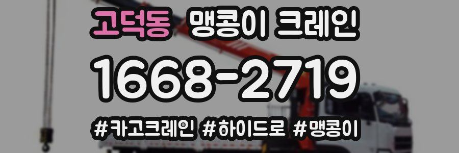 고덕동 맹콩이 크레인