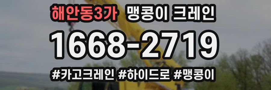 해안동3가 맹콩이 크레인