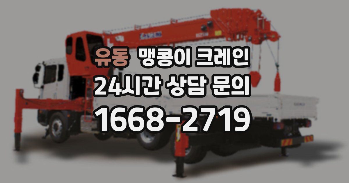 유동 맹콩이 크레인