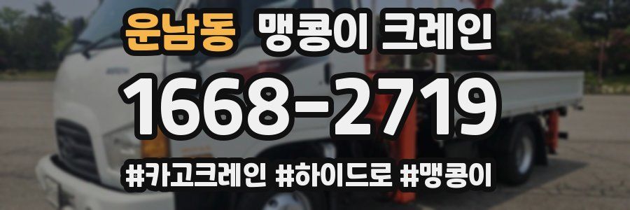 운남동 맹콩이 크레인