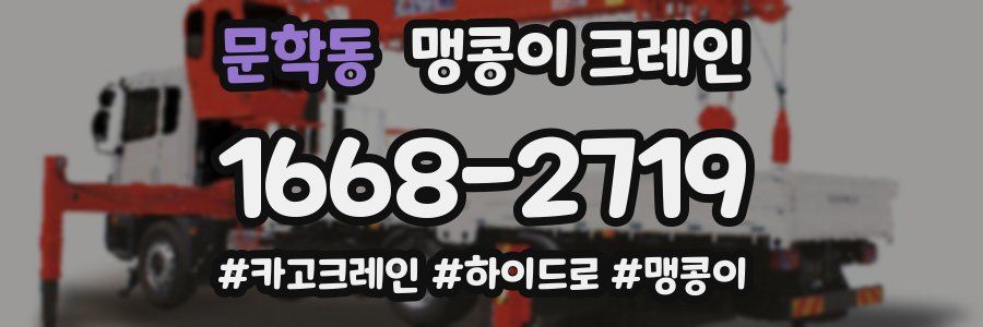 문학동 맹콩이 크레인