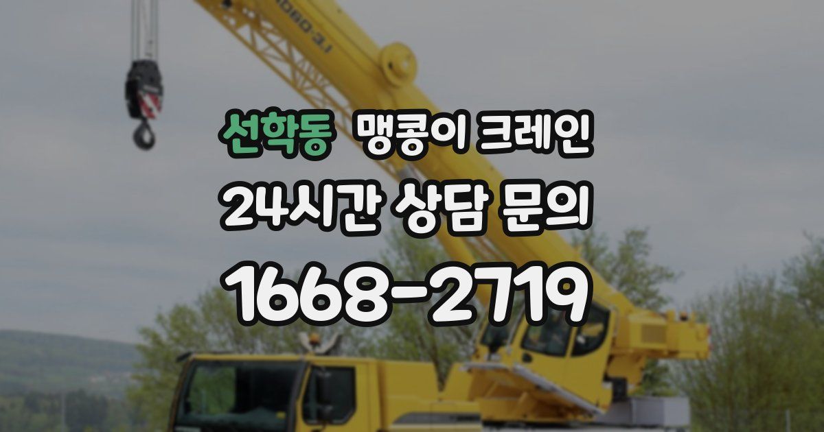 선학동 맹콩이 크레인