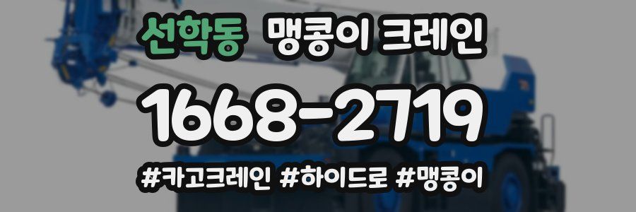 선학동 맹콩이 크레인