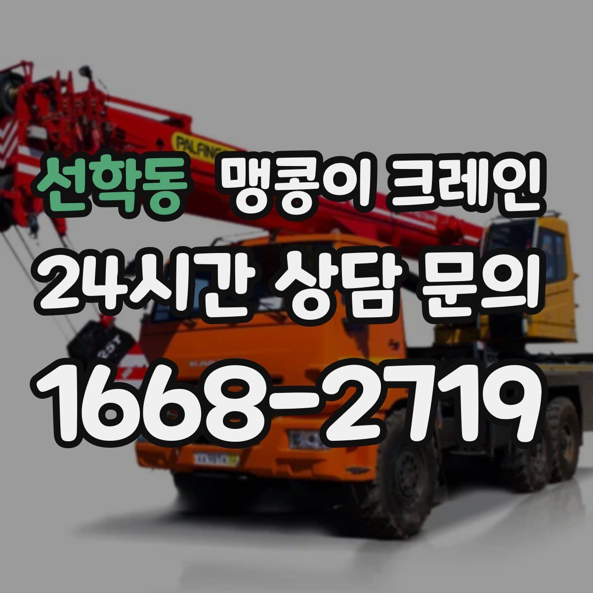 선학동 맹콩이 크레인