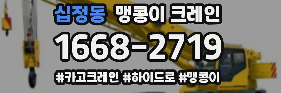 십정동 맹콩이 크레인