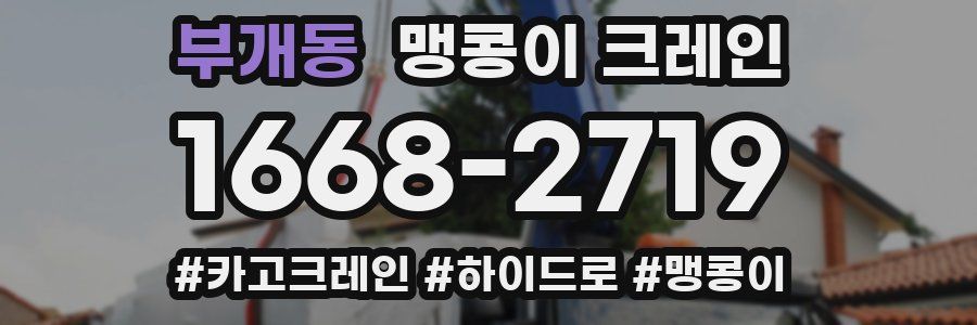 부개동 맹콩이 크레인