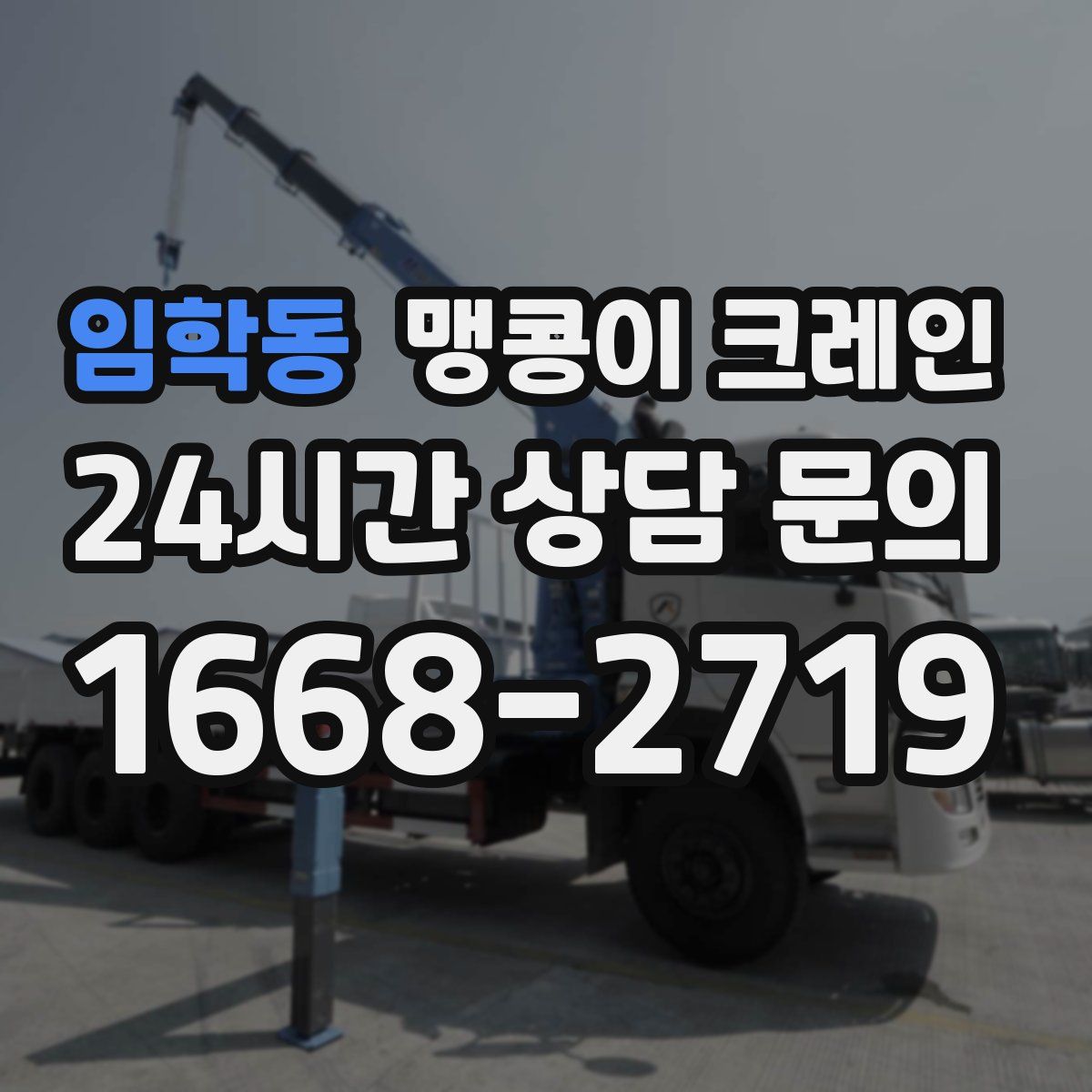 임학동 맹콩이 크레인