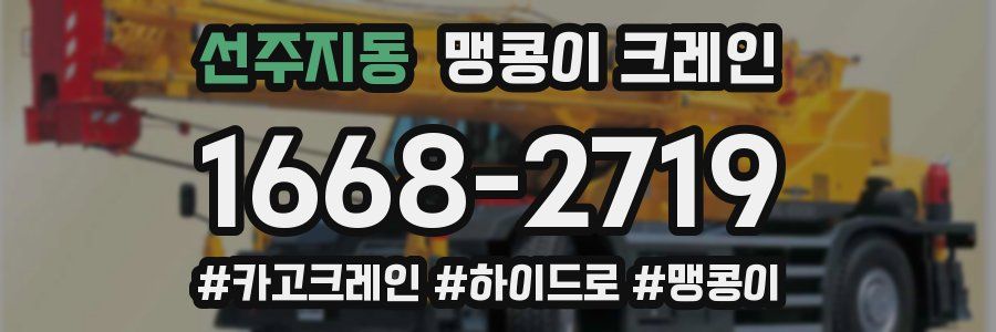 선주지동 맹콩이 크레인