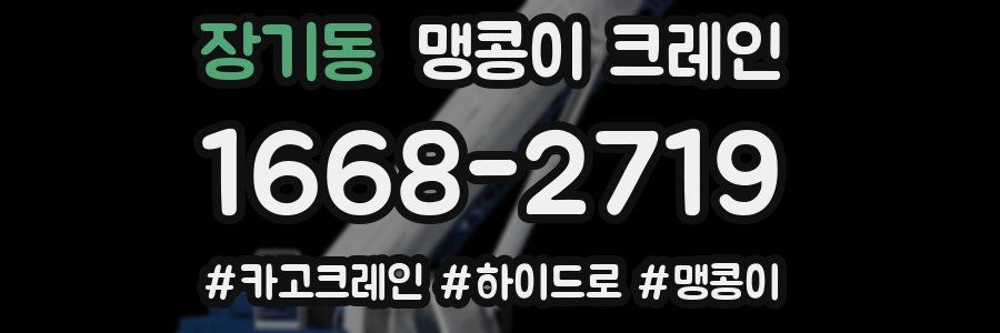 장기동 맹콩이 크레인