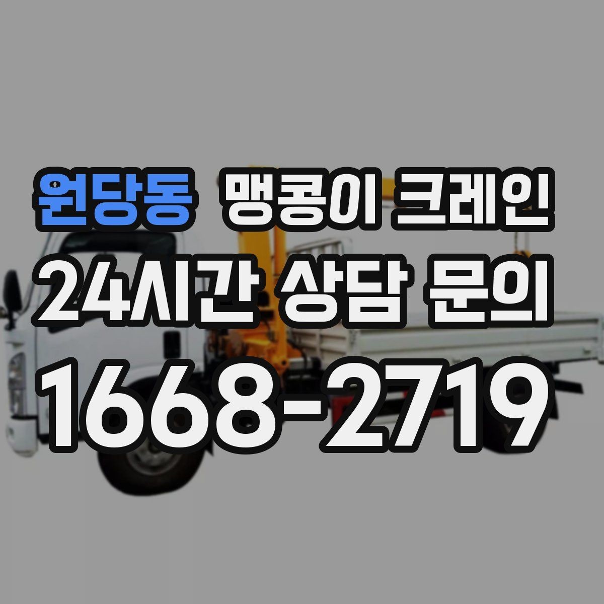 원당동 맹콩이 크레인 카고 크레인과 어떤 점이 다른가요