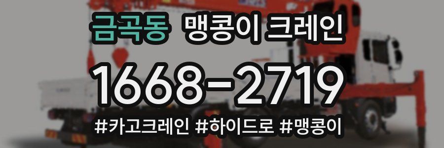 금곡동 맹콩이 크레인