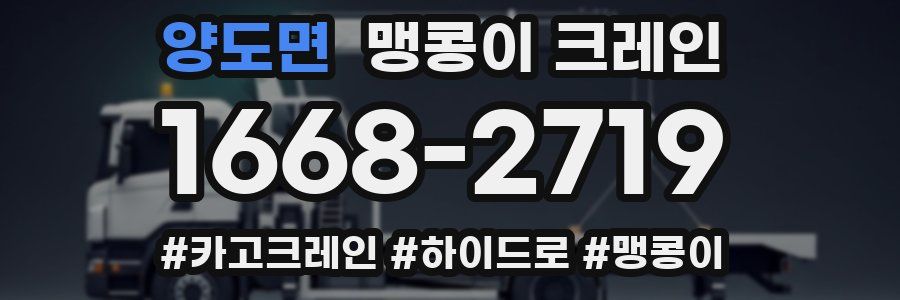 양도면 맹콩이 크레인