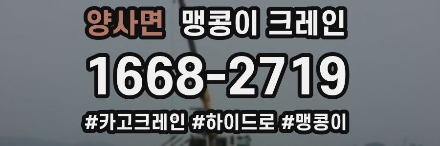 양사면 맹콩이 크레인