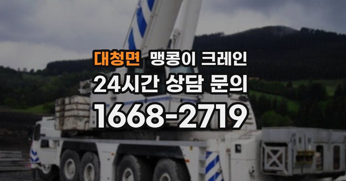 대청면 맹콩이 크레인