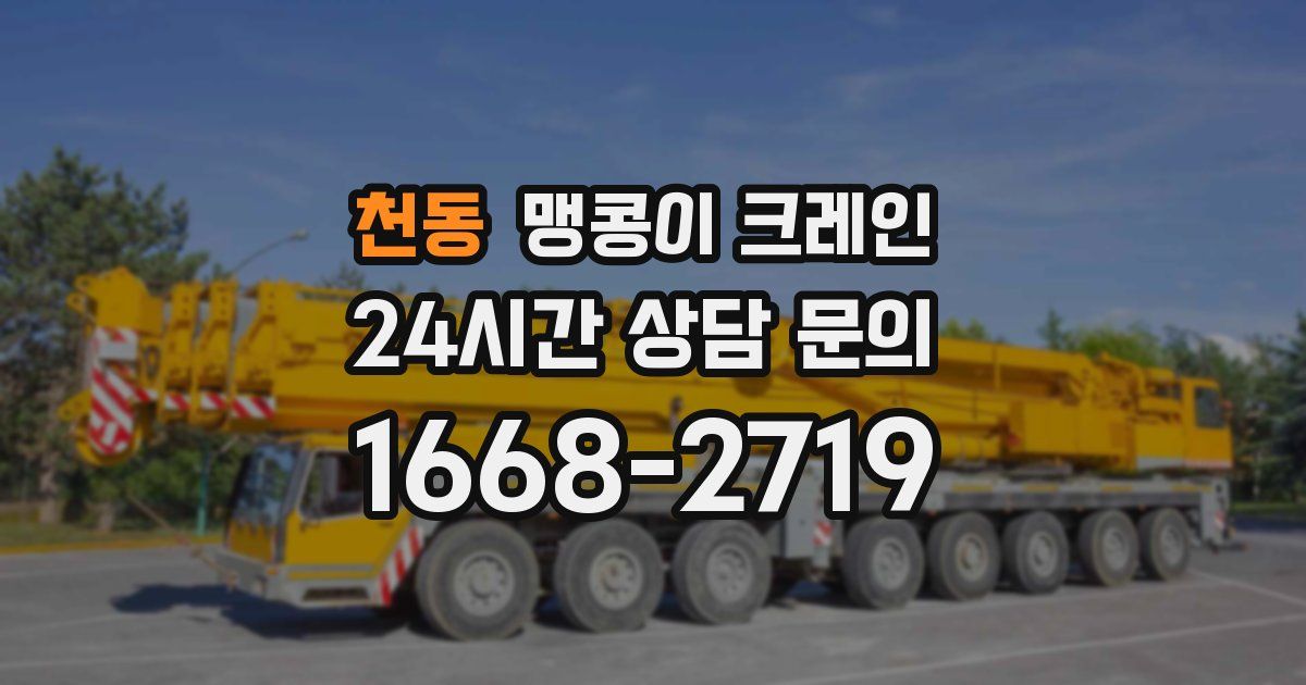 천동 맹콩이 크레인