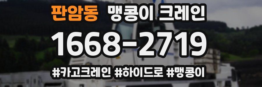 판암동 맹콩이 크레인