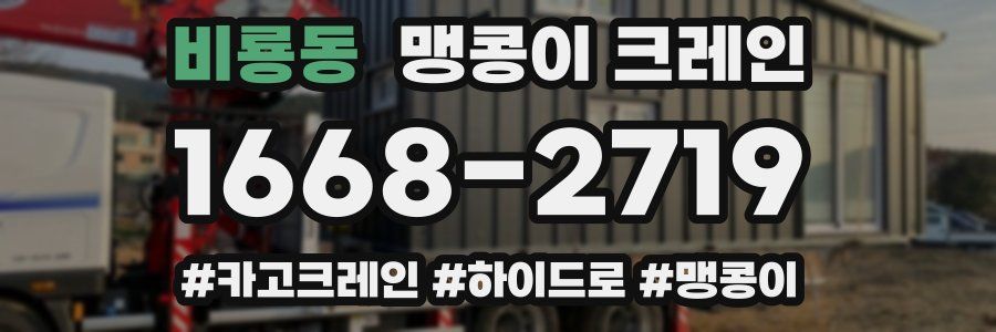 비룡동 맹콩이 크레인