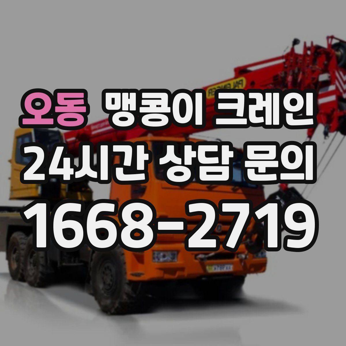 오동 맹콩이 크레인 카고 크레인과 어떤 점이 다른가요