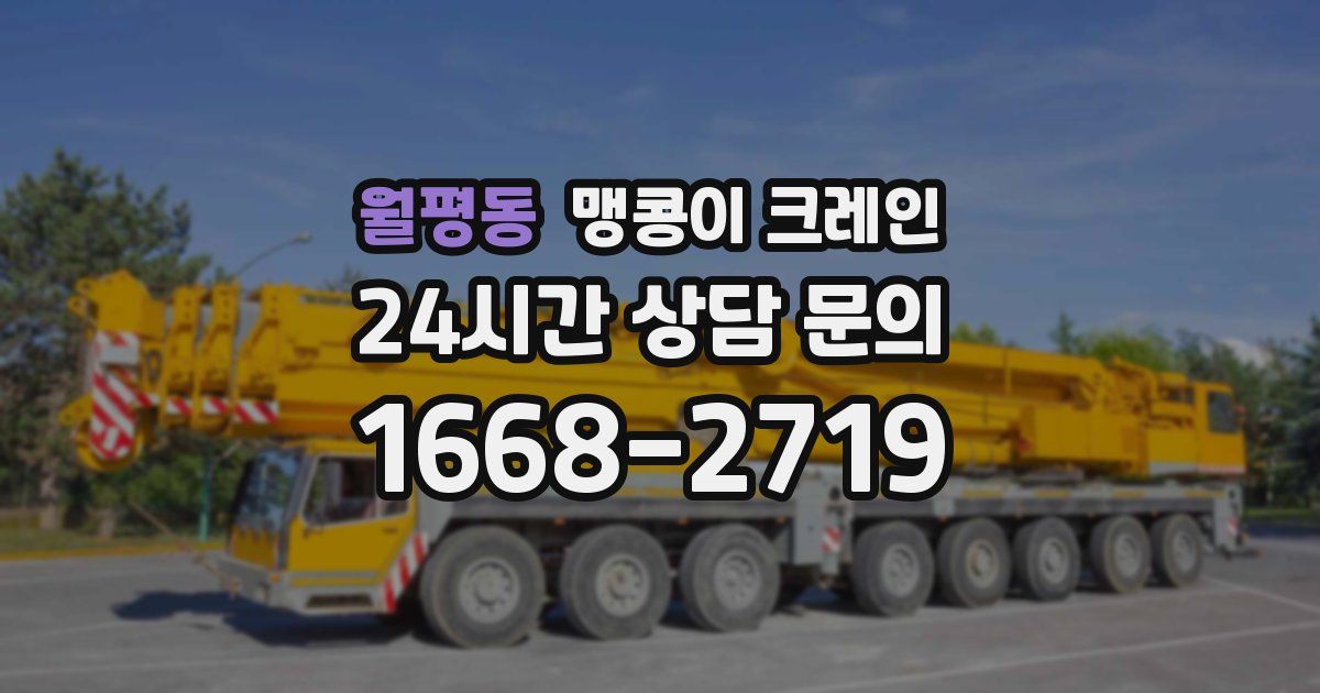 월평동 맹콩이 크레인