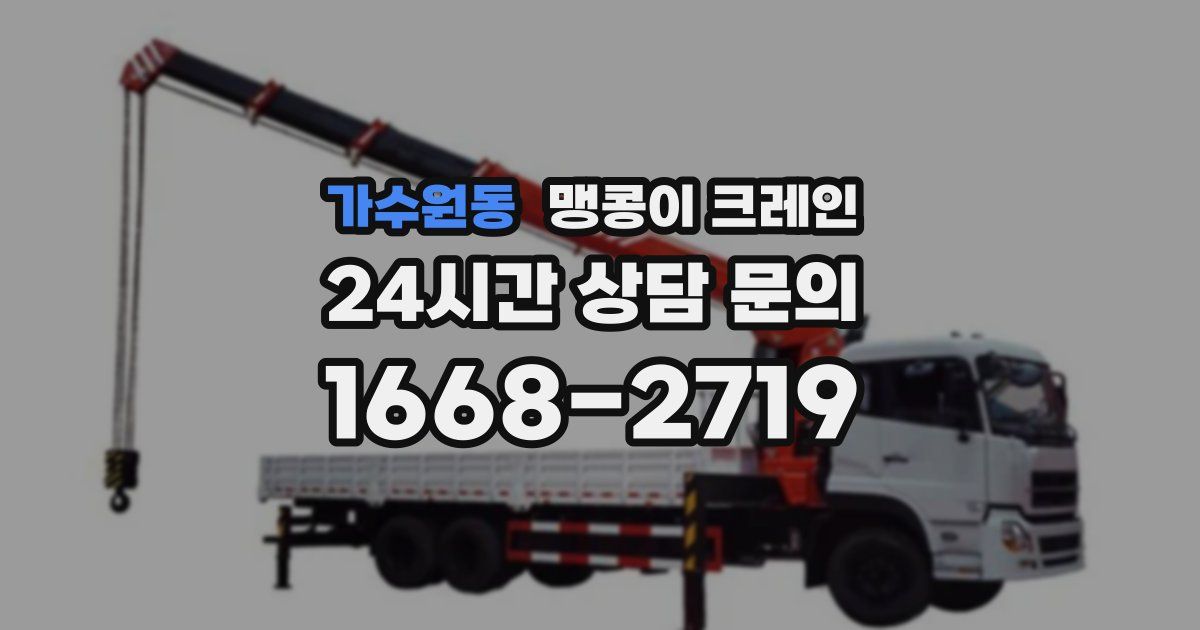 가수원동 맹콩이 크레인