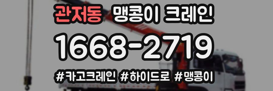 관저동 맹콩이 크레인