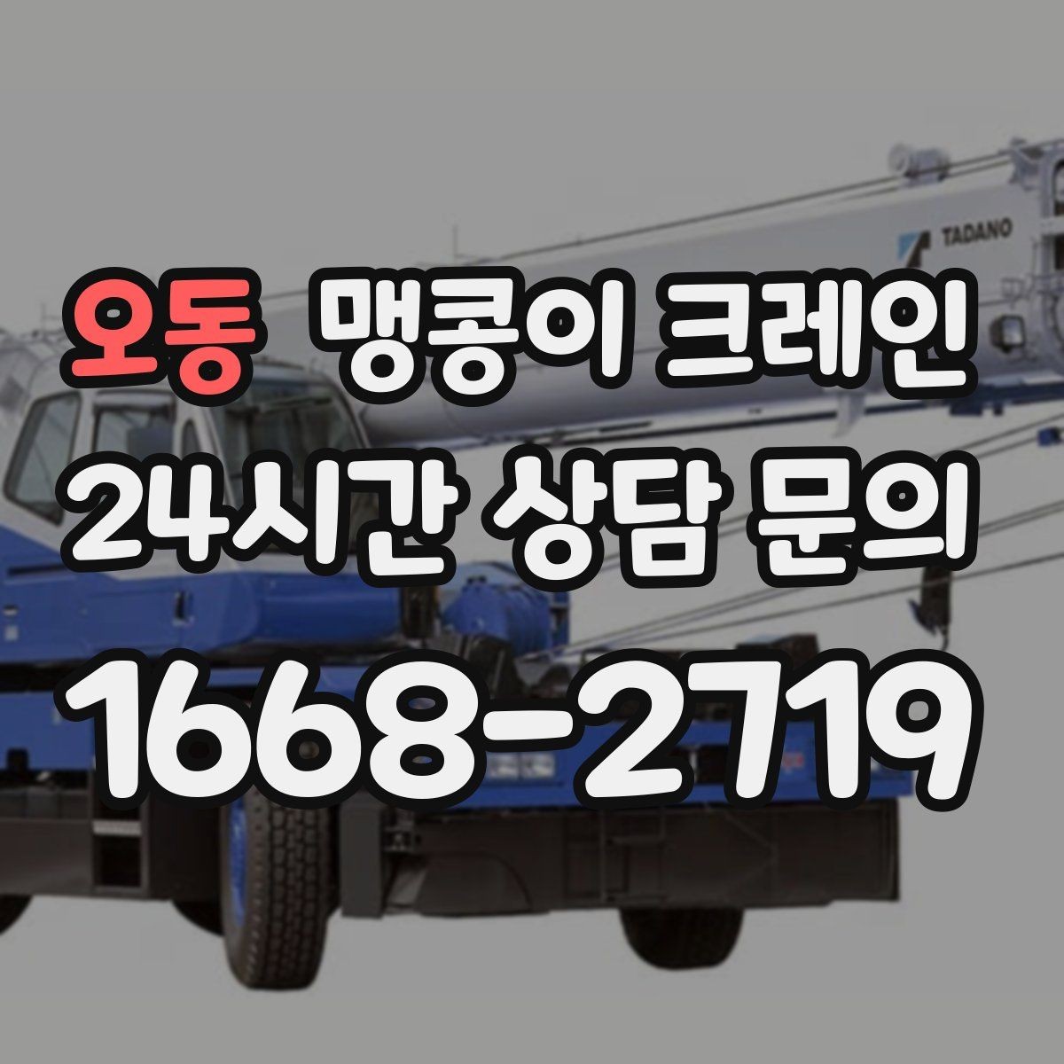 오동 맹콩이 크레인 컨테이너 내부 장비 반입에 적합한 이유