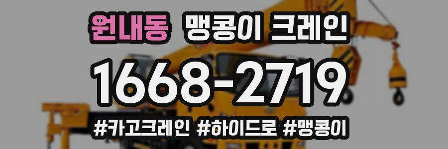 원내동 맹콩이 크레인