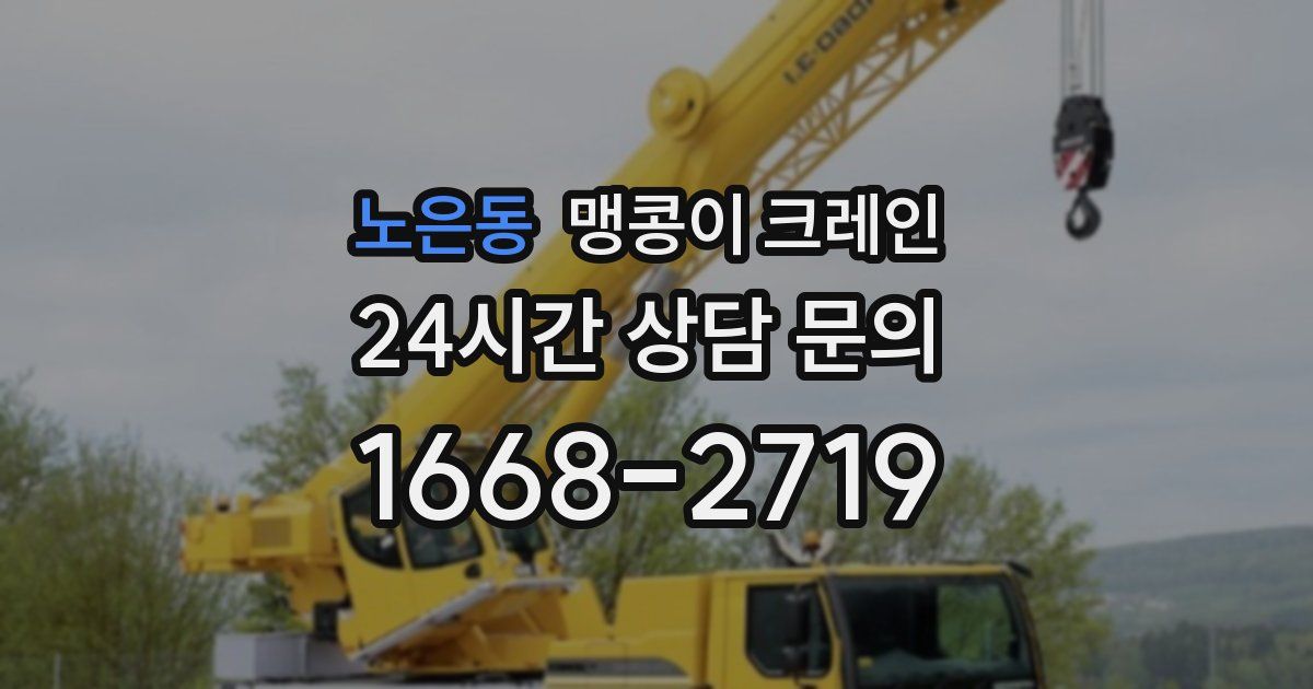 노은동 맹콩이 크레인