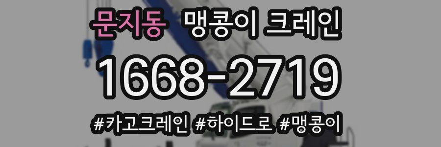문지동 맹콩이 크레인