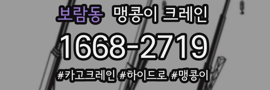 보람동 맹콩이 크레인