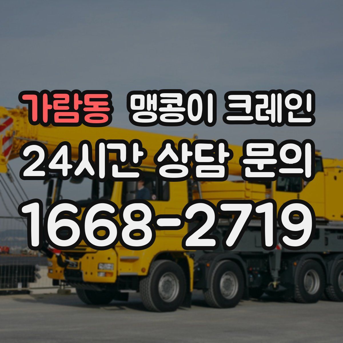 가람동 맹콩이 크레인