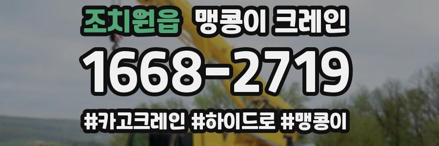 조치원읍 맹콩이 크레인