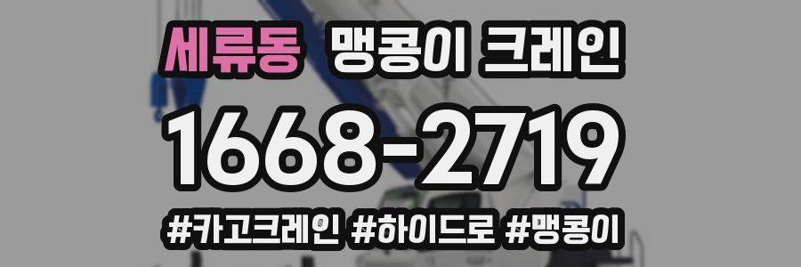 세류동 맹콩이 크레인