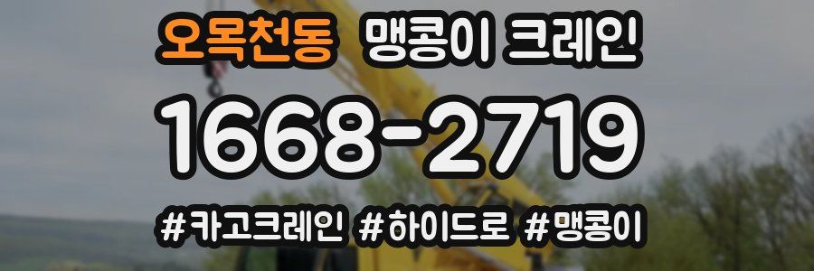 오목천동 맹콩이 크레인